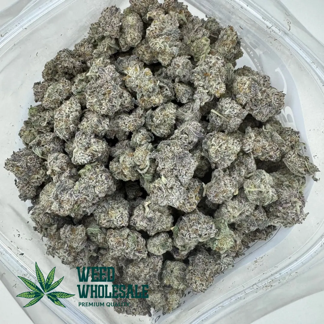 Dense O (Oreoz) AAA popcorn cannabis buds featuring dark green and purple hues coated in thick white trichomes with bright amber pistils.
