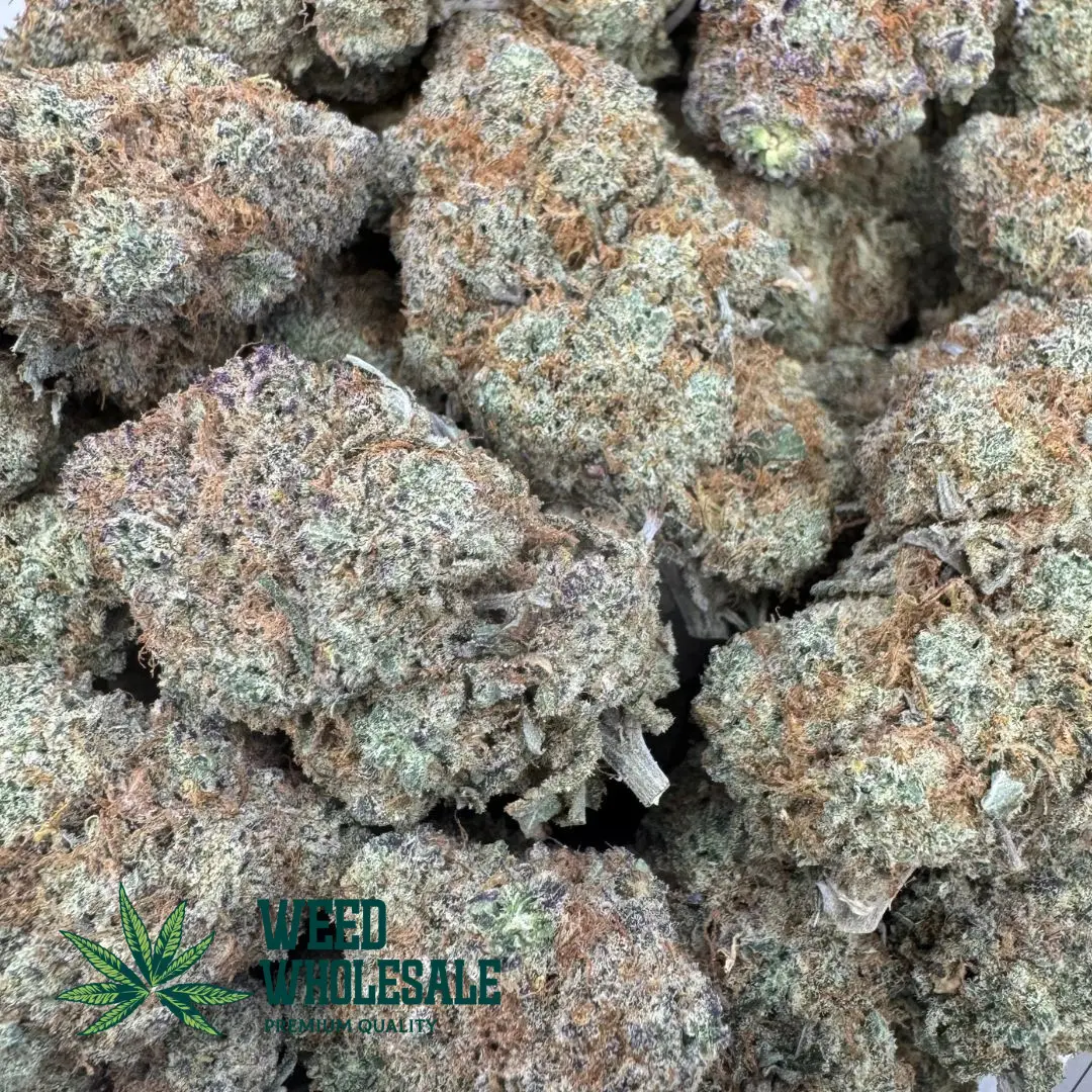 Dense Pink Champagne (AAAA) green cannabis bud featuring pink and purple hues, blanketed in a thick frost of translucent white trichomes with amber pistils.