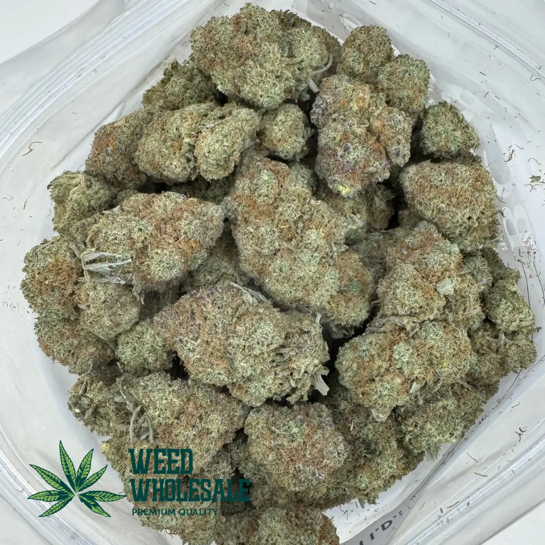 Pink Champagne (AAAA) - Image 3