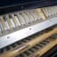 Virtuoso Cassotto accordéon