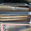 enfant accordéon