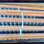 F 5 accordéon