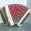 P318 accordéon