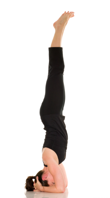 Best Yoga Classes In Pune top 5 yoga asanas