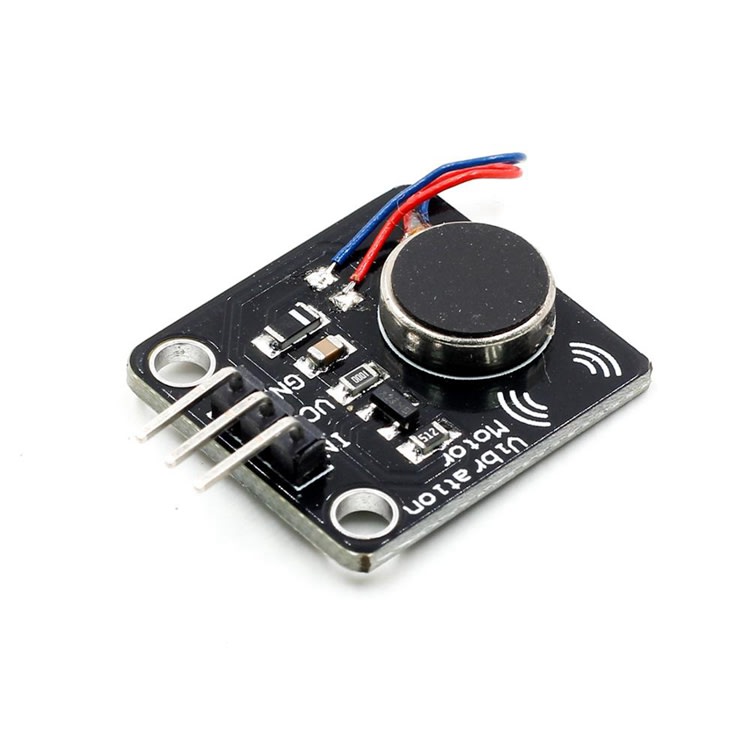 vVibration motor module