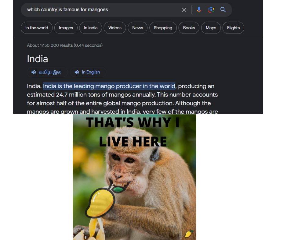 OG Image