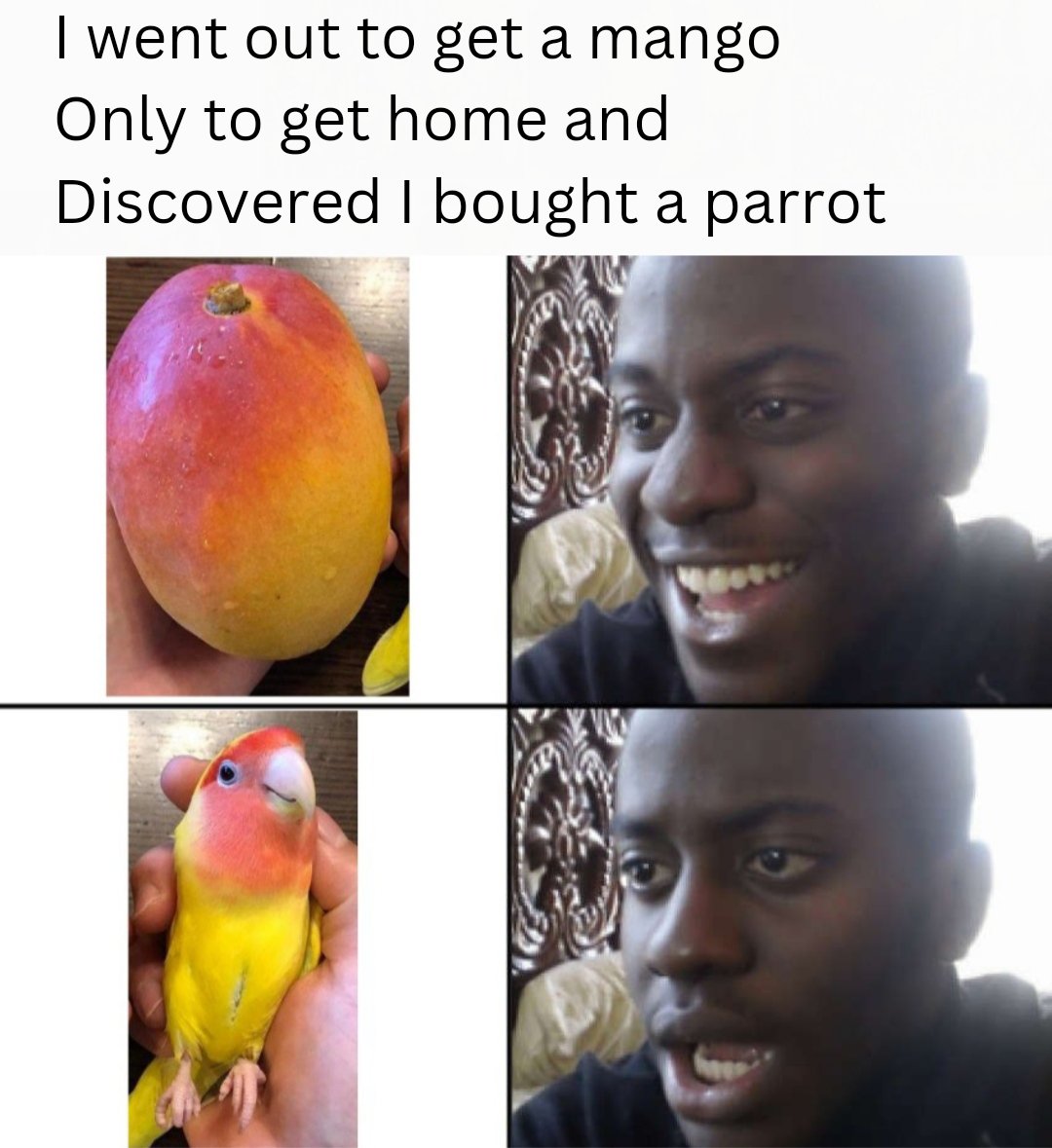 OG Image