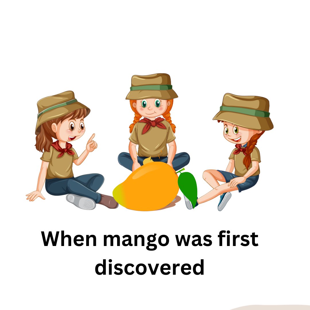 OG Image
