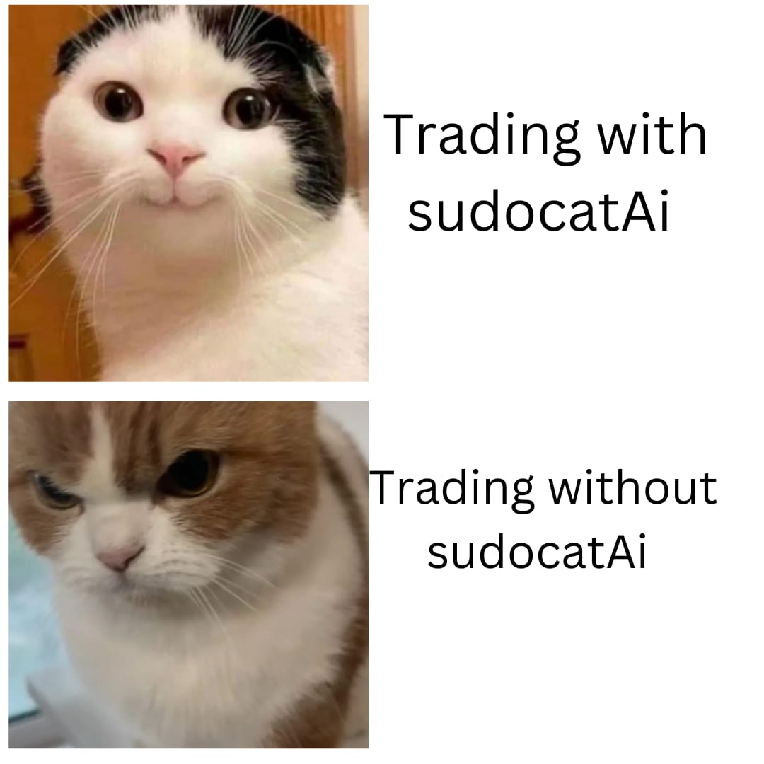 OG Image