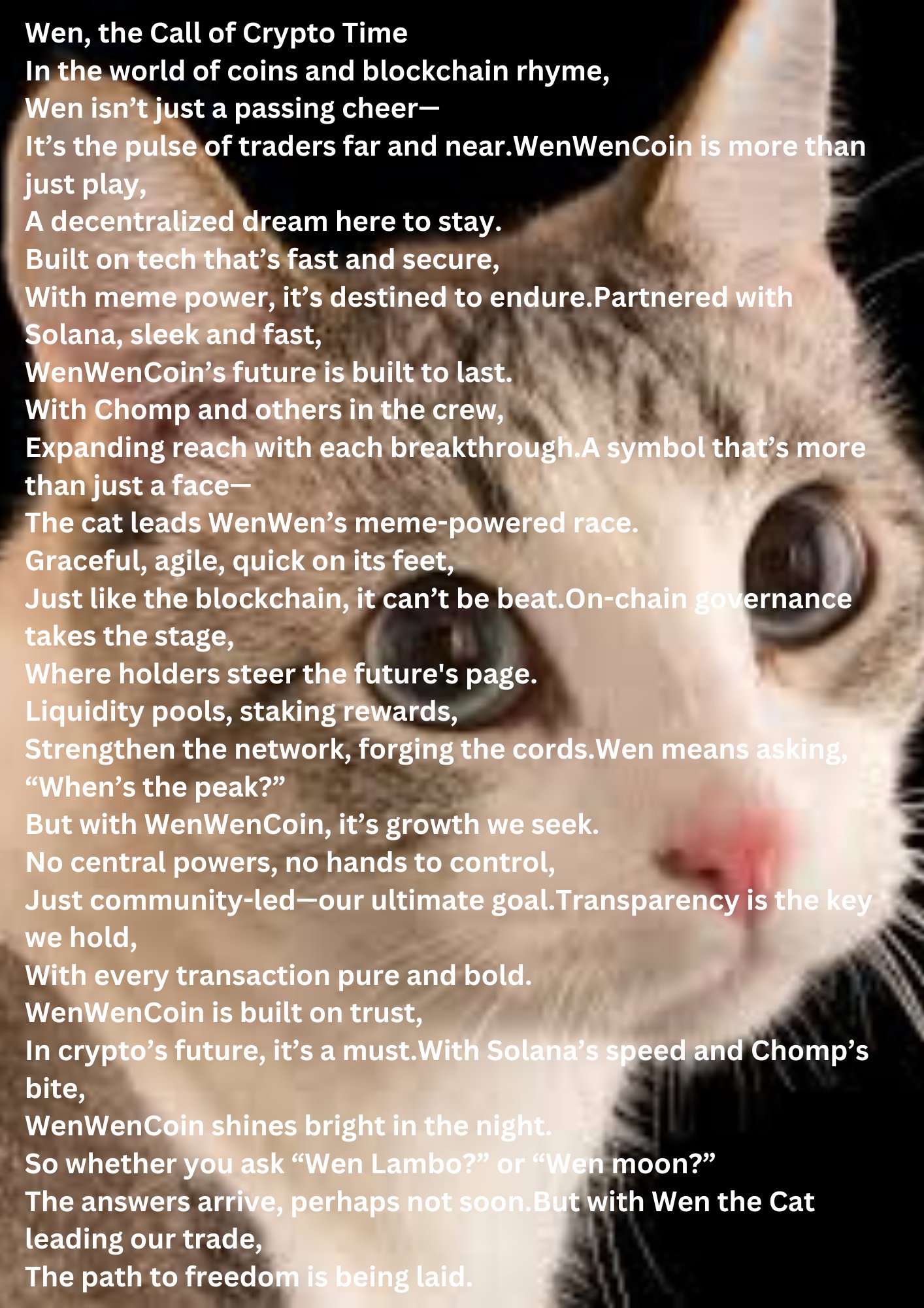 Superteam Earn | Work to Earn in Crypto