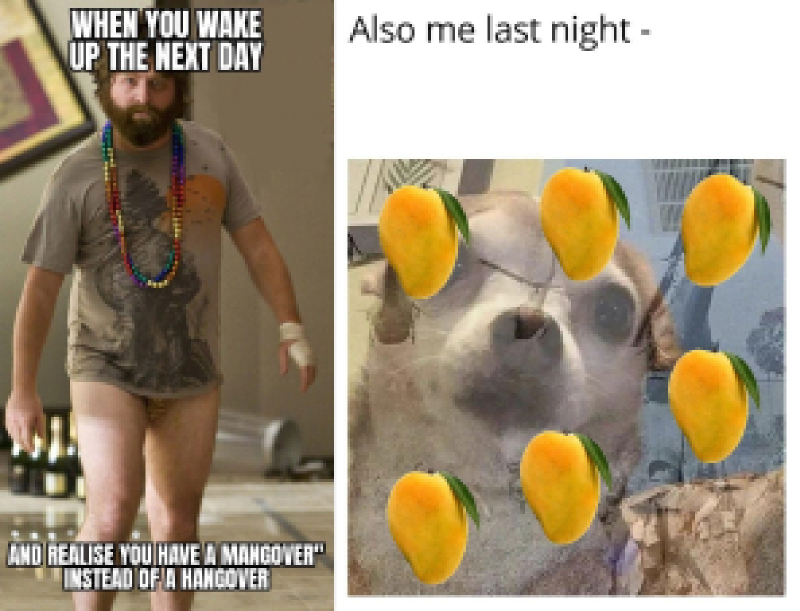OG Image