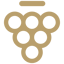 token icon