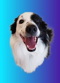 0aa07727-729c-4992-a7ac-475c2ea73e67