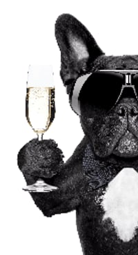 4668be0c-5643-44b0-a56f-26b125d5efc2