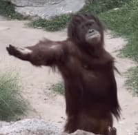 f59be67f-d746-4816-8827-d0a34c1c12ea