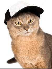 38c390e0-9390-4bca-866e-2c716331d6d5