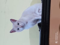 008be10c-aef4-495c-a350-88a89497e16e