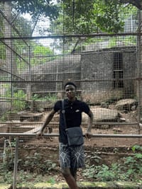 a37ced66-021d-469c-86f0-3a531feb158e