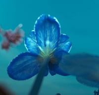 1e71d7bf-3512-456b-91ec-ea10ab3d712c