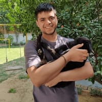 Pratik Dholani