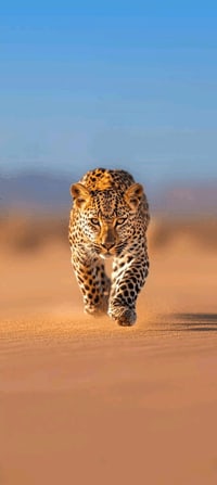 743561f9-ad45-4228-9a2e-42ad2c55a4a4