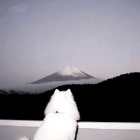 79eb8be9-c3ef-4065-8a3e-090da4f2adab