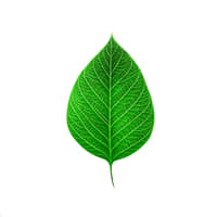 e23c99f6-c37a-4361-bf97-088f452c8ac1