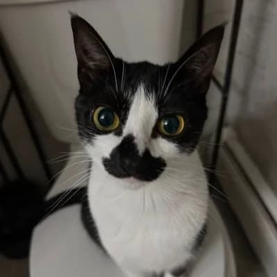 add284c4-95fc-4597-a929-e92a04851a42