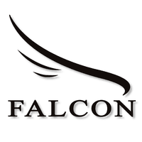 Falcon Corporate Services Ltd