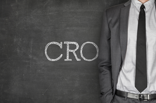 How to become a Chief Risk Officer? – Overview and Skills