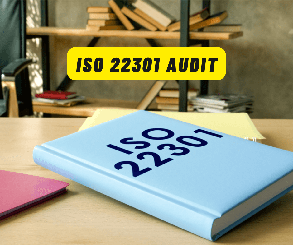 How Useful is an ISO 22301 Audit for Organizational Flexibility?