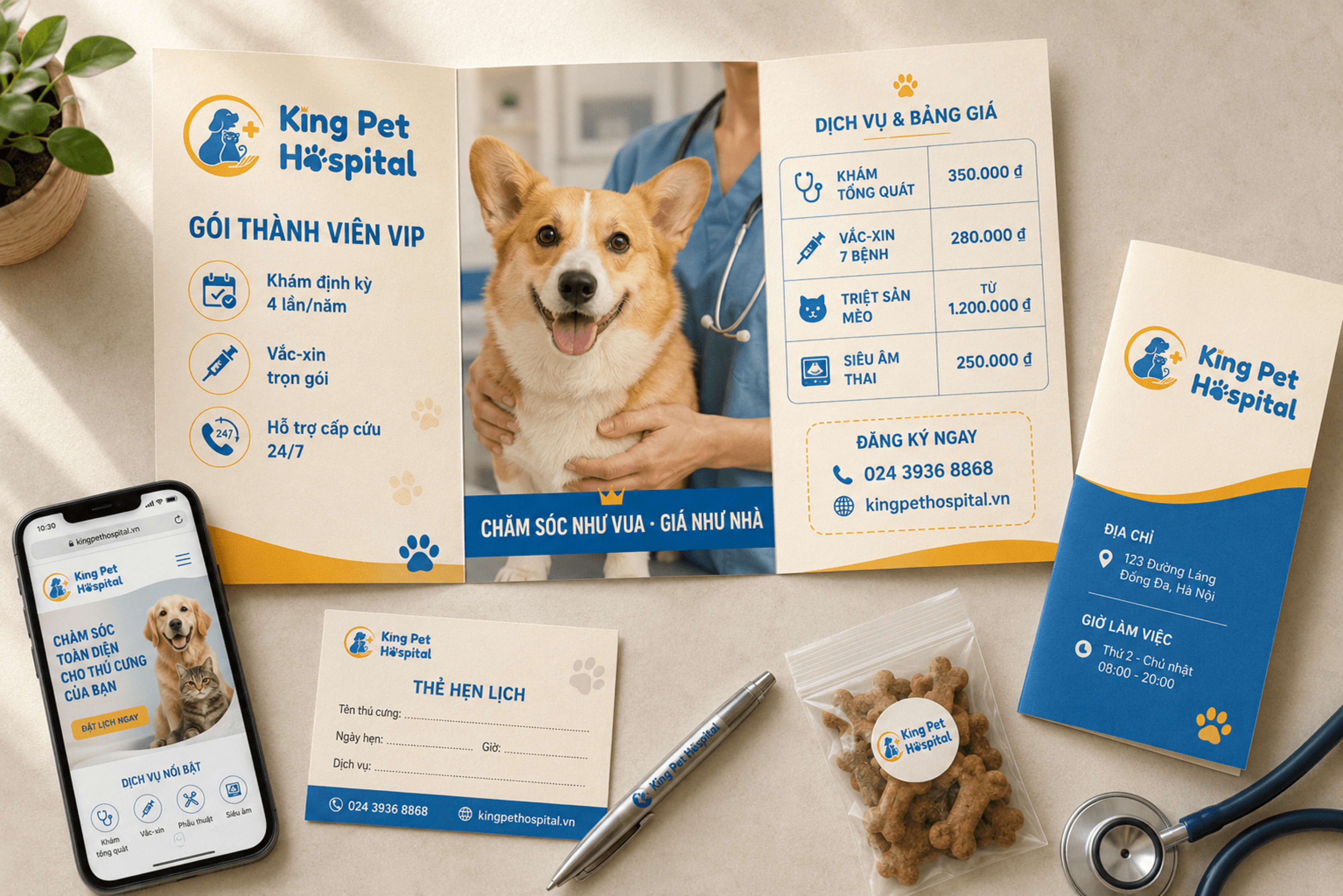 Brochure dịch vụ trifold