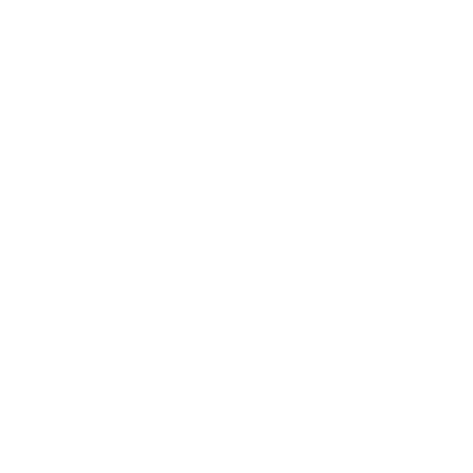 Council for Six Sigma Certification