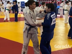 В Армавире участниками городских сборов по дзюдо стали 150 детей