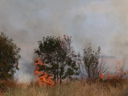 Уважаемые жители и гости Геленджика!