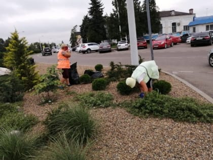 Работы по прополке клумб