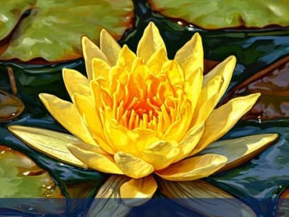 Ответственность за уничтожение редких и находящихся под угрозой исчезновения растений, занесенных в Красную книгу