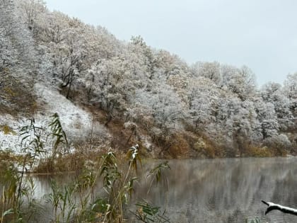 Туман и гололед: прогноз погоды в Краснодарском крае на 6 ноября