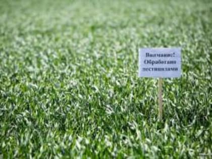 Россельхознадзор напоминает о важности и обязательности предварительного информирования о проведении обработки полей пестицидами и агрохимикатами