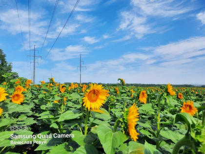 В Анапе появились солнечные фото локации