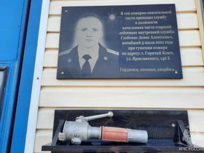 На Кубани медаль «За отвагу на пожаре» вручили родным погибшего спасателя Дениса Глобенко