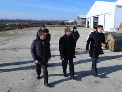 Депутаты ЗСК посетили одну из крупнейших ферм Павловского района