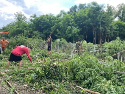 Мэрия Краснодара выбрала нового подрядчика для благоустройства Всесвятского кладбища