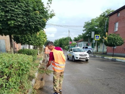 В Ейске проводят обрезку кустарников