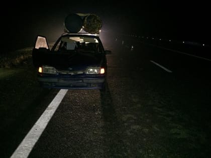 В Краснодарском крае на ночной трассе «пятнадцатая» сбила пешехода