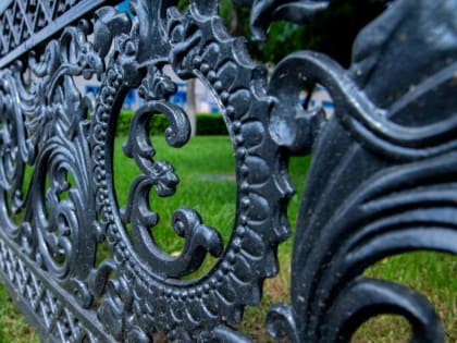 15 апреля в Краснодаре стартует голосование по выбору зеленых зон для благоустройства