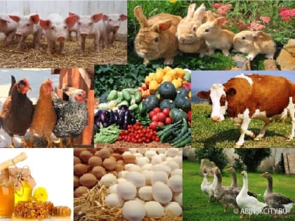 ОБЪЯВЛЕНИЕ - ПОХОЗЯЙСТВЕННЫЙ УЧЕТ!