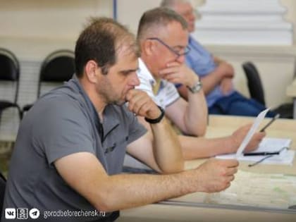 Объединяя усилия: Александр Абрамов призвал предприятия и частный бизнес подключиться покосу высокой травы