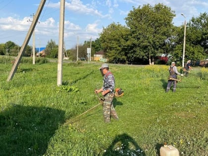 Работы по покосу сорной растительности