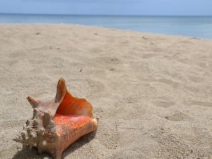 На Кубани курорты планируют принять не менее 17,5 млн туристов